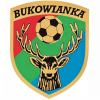 Bukowianka Bukowsko
