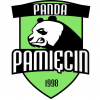 Panda Pamięcin
