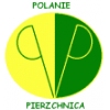 Polanie Pierzchnica