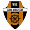 Arka Mierzęcin