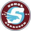Sokół Starczów